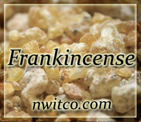 Frankincense Resin - Boswellia_frereana - Maydi frankincense - Boswellia frereana